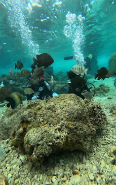 武藤潜水に投稿された画像（2024/2/5）