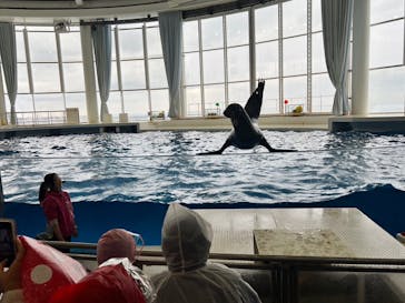 アクアワールド茨城県大洗水族館に投稿された画像（2024/2/5）