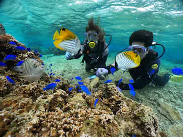 武藤潜水に投稿された画像（2024/2/5）