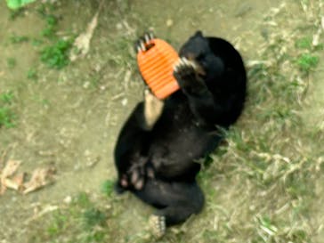 沖縄こどもの国に投稿された画像（2024/2/5）