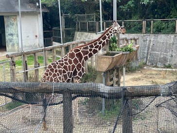 沖縄こどもの国に投稿された画像（2024/2/5）