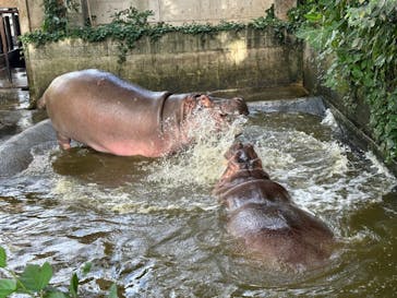 沖縄こどもの国に投稿された画像（2024/2/5）