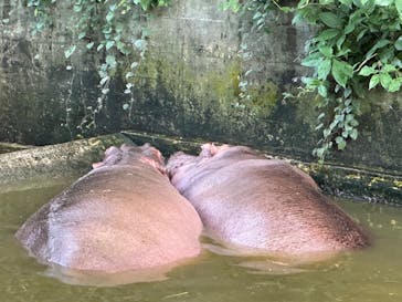 沖縄こどもの国に投稿された画像（2024/2/5）
