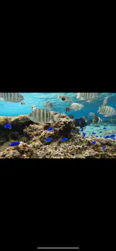 武藤潜水に投稿された画像（2024/2/5）