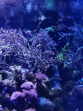 名古屋港水族館に投稿された画像（2024/2/5）
