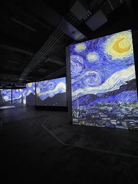 ゴッホ・アライブに投稿された画像（2024/2/5）