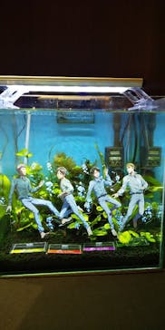 カワスイ 川崎⽔族館に投稿された画像（2024/2/5）