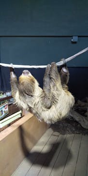 カワスイ 川崎⽔族館に投稿された画像（2024/2/5）