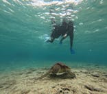 宮古島 ADVENTURE PiPi（ミヤコジマ アドベンチャー ピピ）に投稿された画像（2024/2/5）