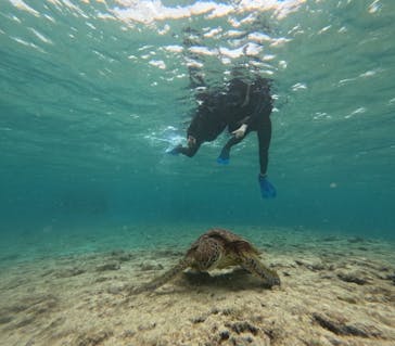 宮古島 ADVENTURE PiPi（ミヤコジマ アドベンチャー ピピ）に投稿された画像（2024/2/5）