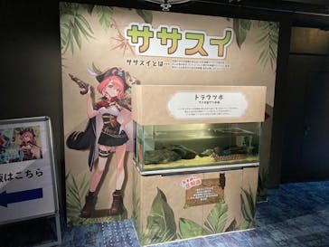 カワスイ 川崎⽔族館に投稿された画像（2024/2/5）