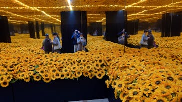 ゴッホ・アライブに投稿された画像（2024/2/5）