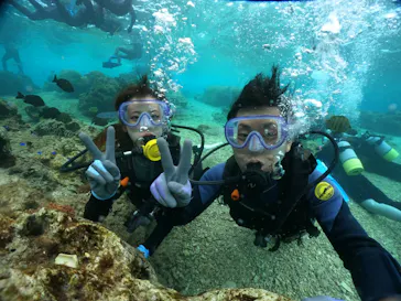 武藤潜水に投稿された画像（2024/2/5）