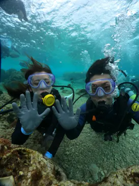 武藤潜水に投稿された画像（2024/2/5）