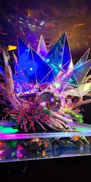 NARA IKIMONO MUSEUMに投稿された画像（2024/2/5）