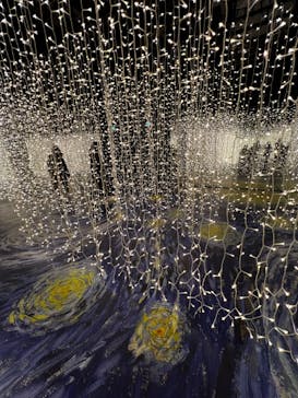 ゴッホ・アライブに投稿された画像（2024/2/5）