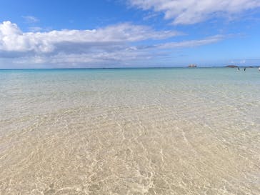 石垣島 ADVENTURE PiPi（イシガキジマアドベンチャーピピ）に投稿された画像（2024/2/5）