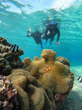 宮古島 ADVENTURE PiPi（ミヤコジマ アドベンチャー ピピ）に投稿された画像（2024/2/5）