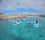 宮古島 ADVENTURE PiPi（ミヤコジマ アドベンチャー ピピ）に投稿された画像（2024/2/5）