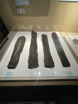 特別展「和食 ～日本の自然、人々の知恵～」に投稿された画像（2024/2/5）