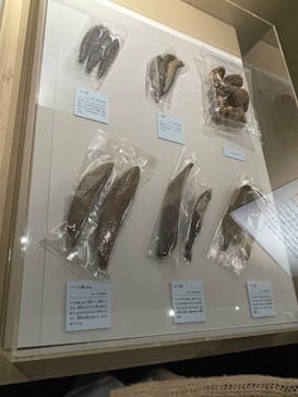 特別展「和食 ～日本の自然、人々の知恵～」に投稿された画像（2024/2/5）