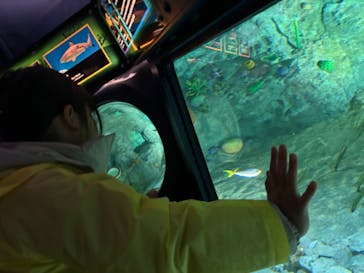 レゴランドⓇ・ジャパン・リゾートに投稿された画像（2024/2/5）