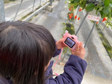 淡路ファームパーク イングランドの丘に投稿された画像（2024/2/5）