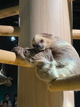 DMMかりゆし水族館に投稿された画像（2024/2/5）