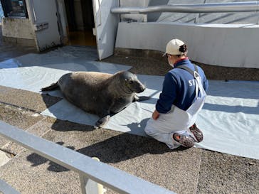 大分マリーンパレス水族館 「うみたまご」に投稿された画像（2024/2/5）