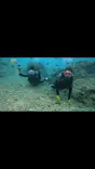 武藤潜水に投稿された画像（2024/2/6）