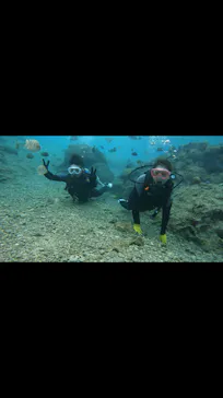 武藤潜水に投稿された画像（2024/2/6）