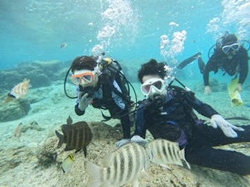 沖縄マリンサービス碧に投稿された画像（2024/2/6）