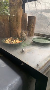 仙台うみの杜水族館に投稿された画像（2024/2/6）