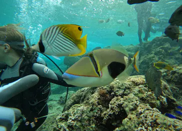 武藤潜水に投稿された画像（2024/2/6）