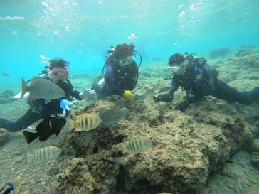武藤潜水に投稿された画像（2024/2/6）
