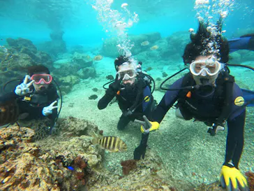 武藤潜水に投稿された画像（2024/2/6）