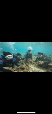 武藤潜水に投稿された画像（2024/2/6）