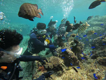 武藤潜水に投稿された画像（2024/2/6）