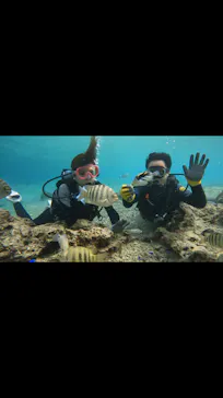 武藤潜水に投稿された画像（2024/2/6）