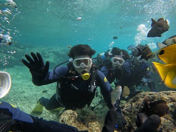 青の洞窟専門店　沖縄ダイビングショップ和に投稿された画像（2024/2/6）