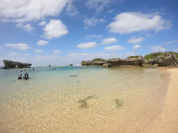 武藤潜水に投稿された画像（2024/2/6）