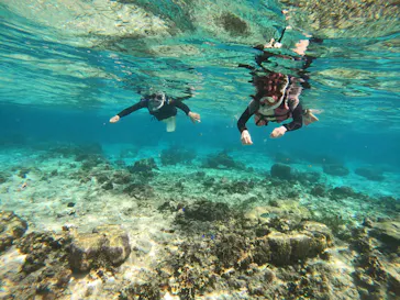 武藤潜水に投稿された画像（2024/2/6）