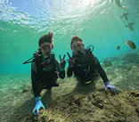 武藤潜水に投稿された画像（2024/2/6）