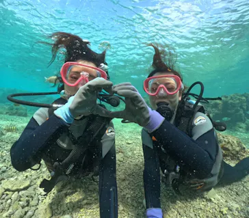 武藤潜水に投稿された画像（2024/2/6）