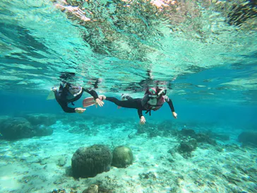 武藤潜水に投稿された画像（2024/2/6）