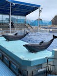 越前松島水族館に投稿された画像（2024/2/6）