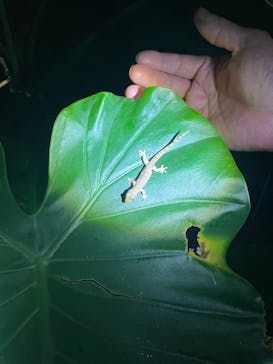 宮古島 ADVENTURE PiPi（ミヤコジマ アドベンチャー ピピ）に投稿された画像（2024/2/6）