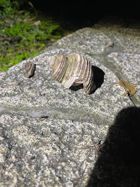 宮古島 ADVENTURE PiPi（ミヤコジマ アドベンチャー ピピ）に投稿された画像（2024/2/6）