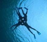 宮古島 ADVENTURE PiPi（ミヤコジマ アドベンチャー ピピ）に投稿された画像（2024/2/6）