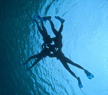 宮古島 ADVENTURE PiPi（ミヤコジマ アドベンチャー ピピ）に投稿された画像（2024/2/6）